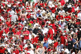 开yun官网-体育赛事观众满意度影响因素研究，体育赛事关注度