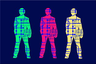 开云体育平台-高校体育专业人才培养质量保障体系，体育人才培养方案心得体会